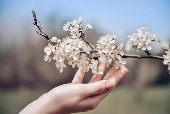 Distance Reiki